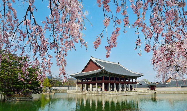 Beautiful photos of Gyeongbokgung Palace